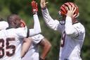 Cincinnati Bengals Photos