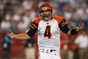 Cincinnati Bengals Photos