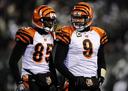 New York Jets Photos