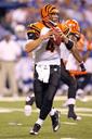 Indianapolis Colts Photos