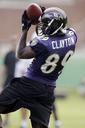 St. Louis Rams Photos