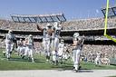 New York Giants Photos