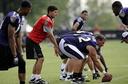 Jake Delhomme Photos