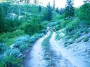 Trail Running Photos