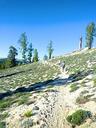 Trail Running Photos