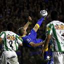 Banfield