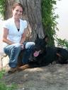 Beauceron Photos