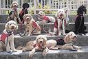 animal welfare