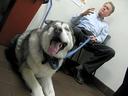 Alaskan Malamute Photos