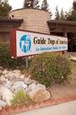guide dog Photos