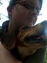 Black and Tan Coonhound Photos