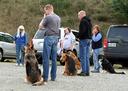 Belgian Malinois Photos