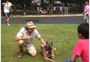 Belgian Malinois