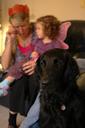 guide dog Photos