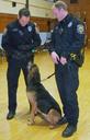 Bloodhound Photos