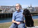 guide dog Photos