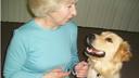 guide dog Photos