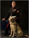 therapy dogs,walking,paws,guide dog,Dog