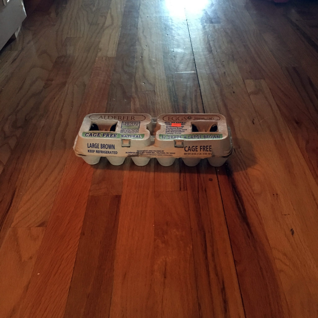 Empty carton of eggs