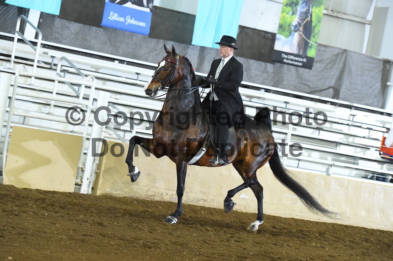 Thursday Evening 630pm Classes 2851 Horse Show Proofs 2019 D) April 1113 Bridlespur