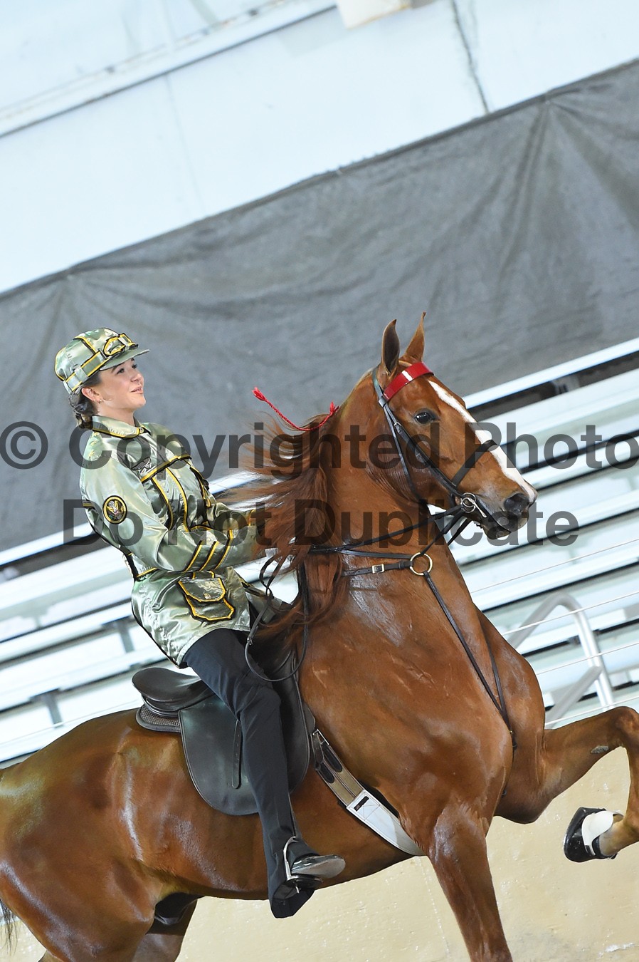 Friday Morning 900am Classes 5283 Horse Show Proofs 2019 D) April 1113 Bridlespur