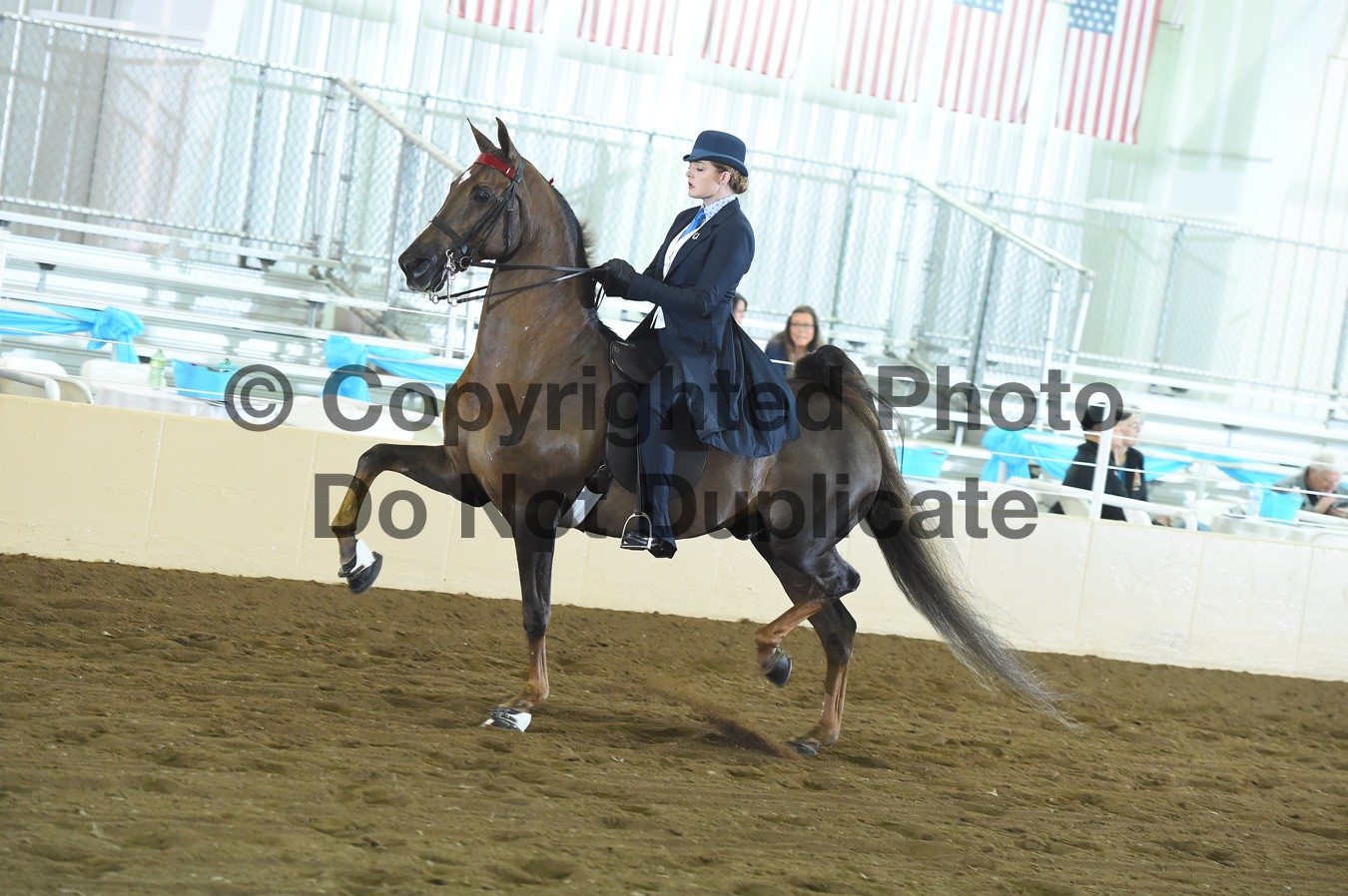Friday Evening 630pm Classes 84105 Horse Show Proofs 2019 D) April 1113 Bridlespur