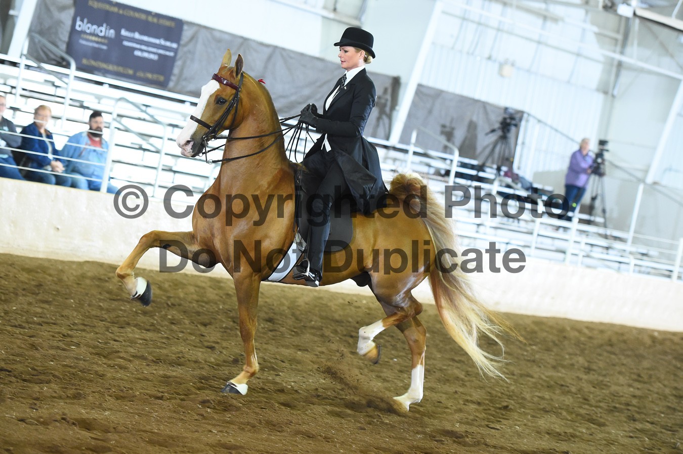 Saturday Evening 630pm Classes 144171 Horse Show Proofs 2019 D) April 1113