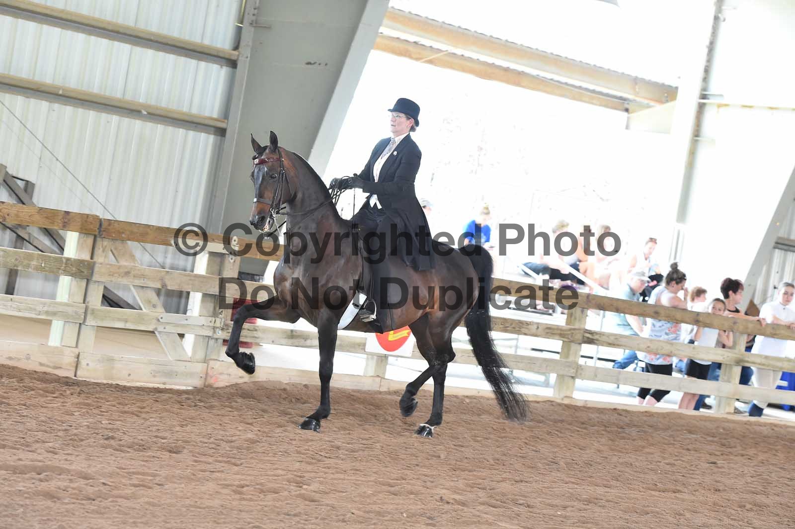 Friday Morning 1000am Classes 6491 Horse Show Proofs 2019 M