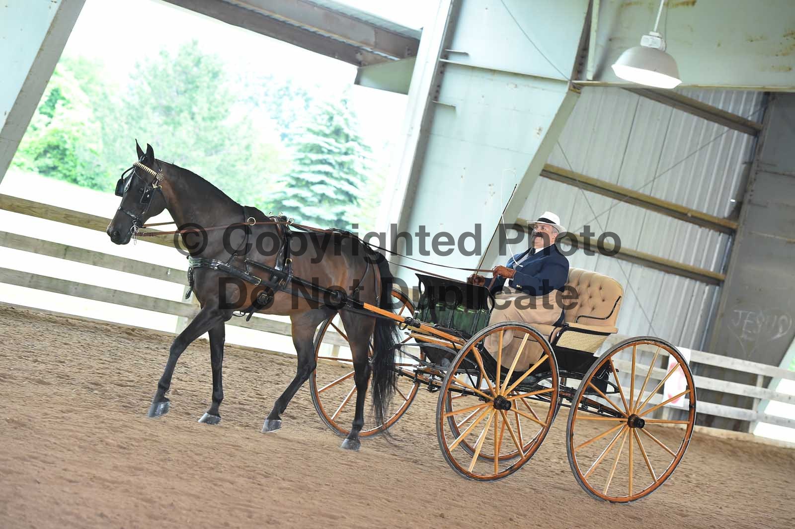 Saturday Morning 900am. Classes 114129 Horse Show Proofs 2019