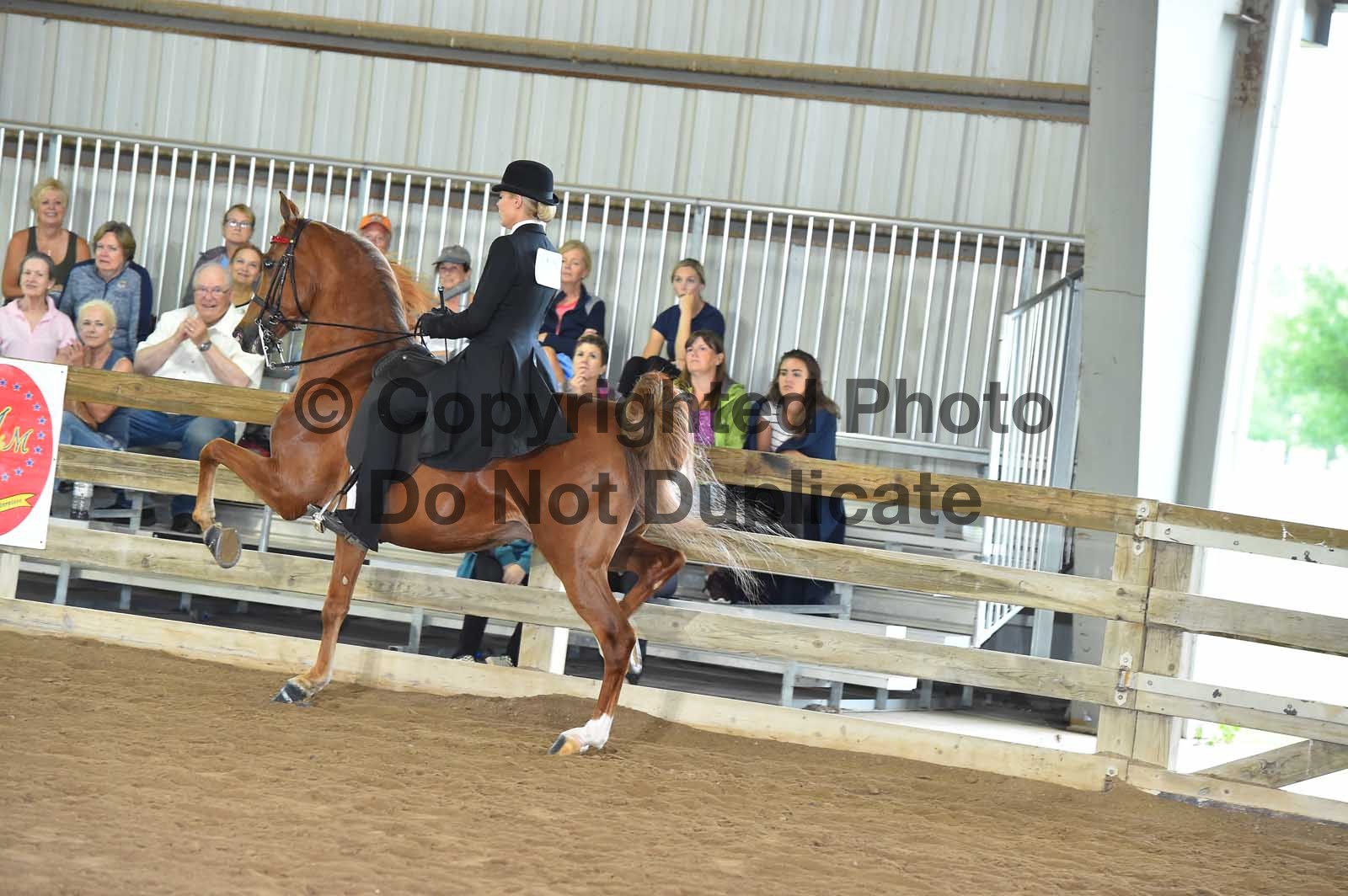 Saturday Evening 600pm Classes 150163 Horse Show Proofs 2019
