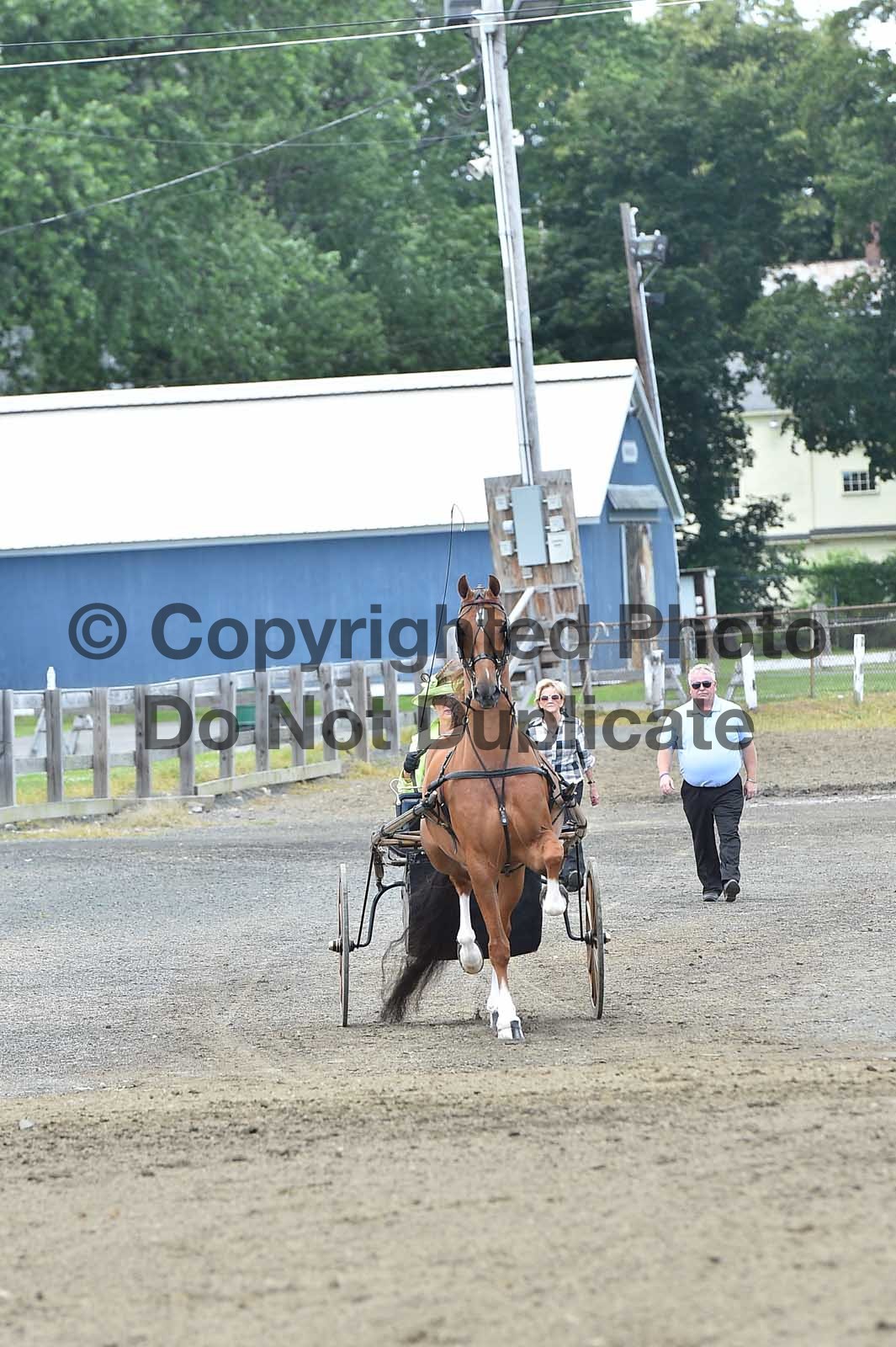 Thursday Morning 900am Classes 0123 Horse Show Proofs 2019 N