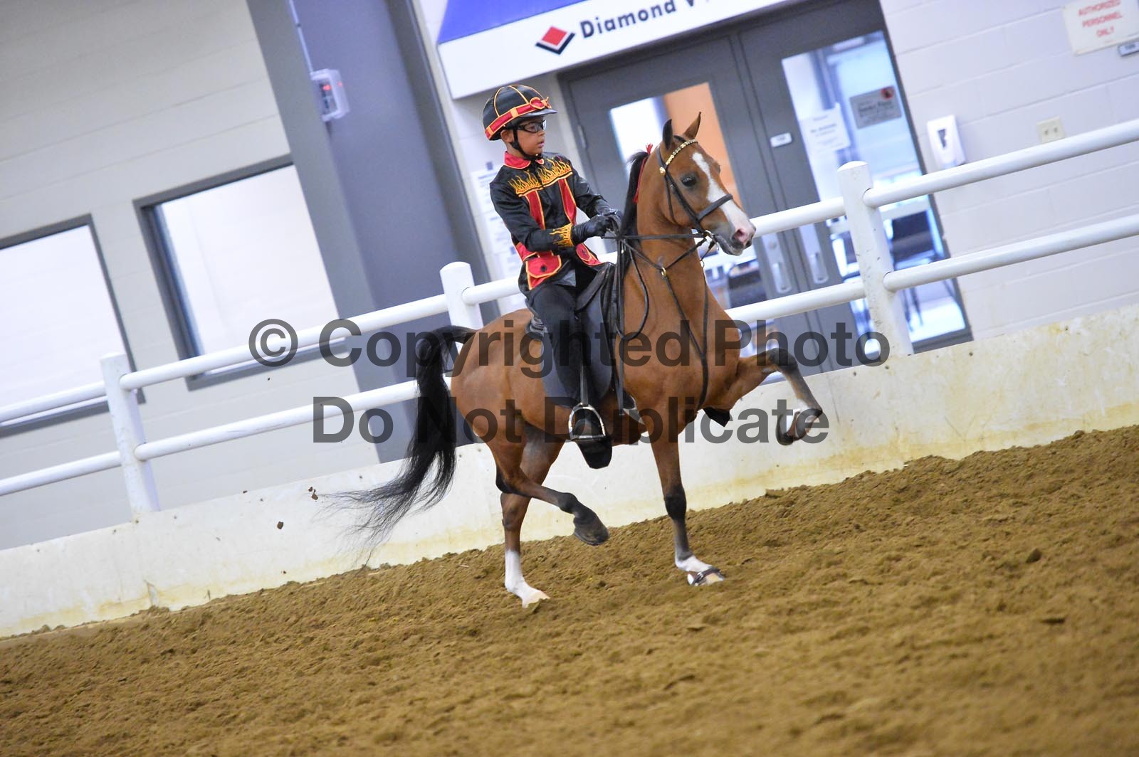 Saturday Afternoon 100pm Classes 8093 Horse Show Proofs 2019