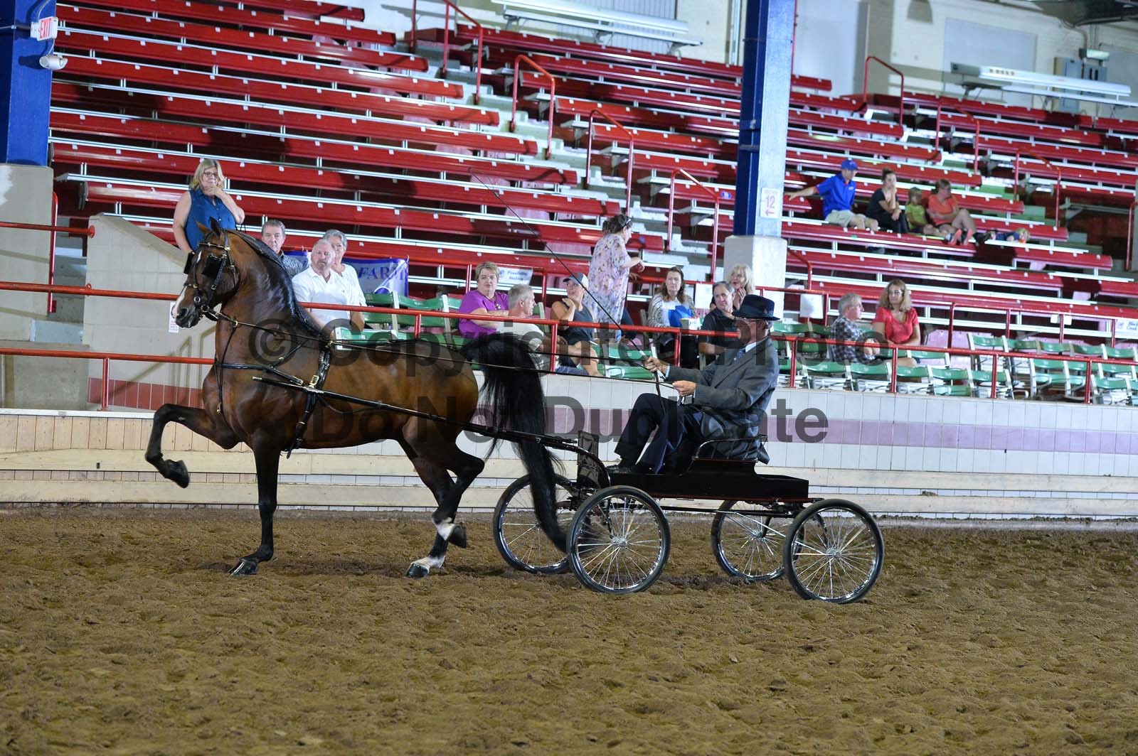 Wednesday Evening 700pm Classes 4360 Horse Show Proofs 2019 T) Sept 1114 NY