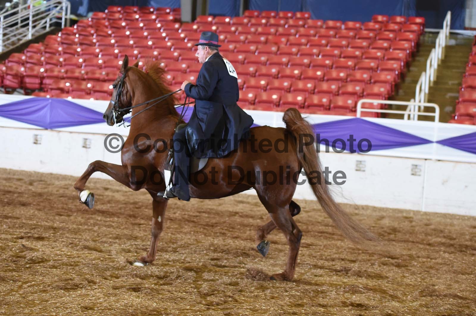 Saturday Evening 600pm Classes 105a 128 Horse Show Proofs