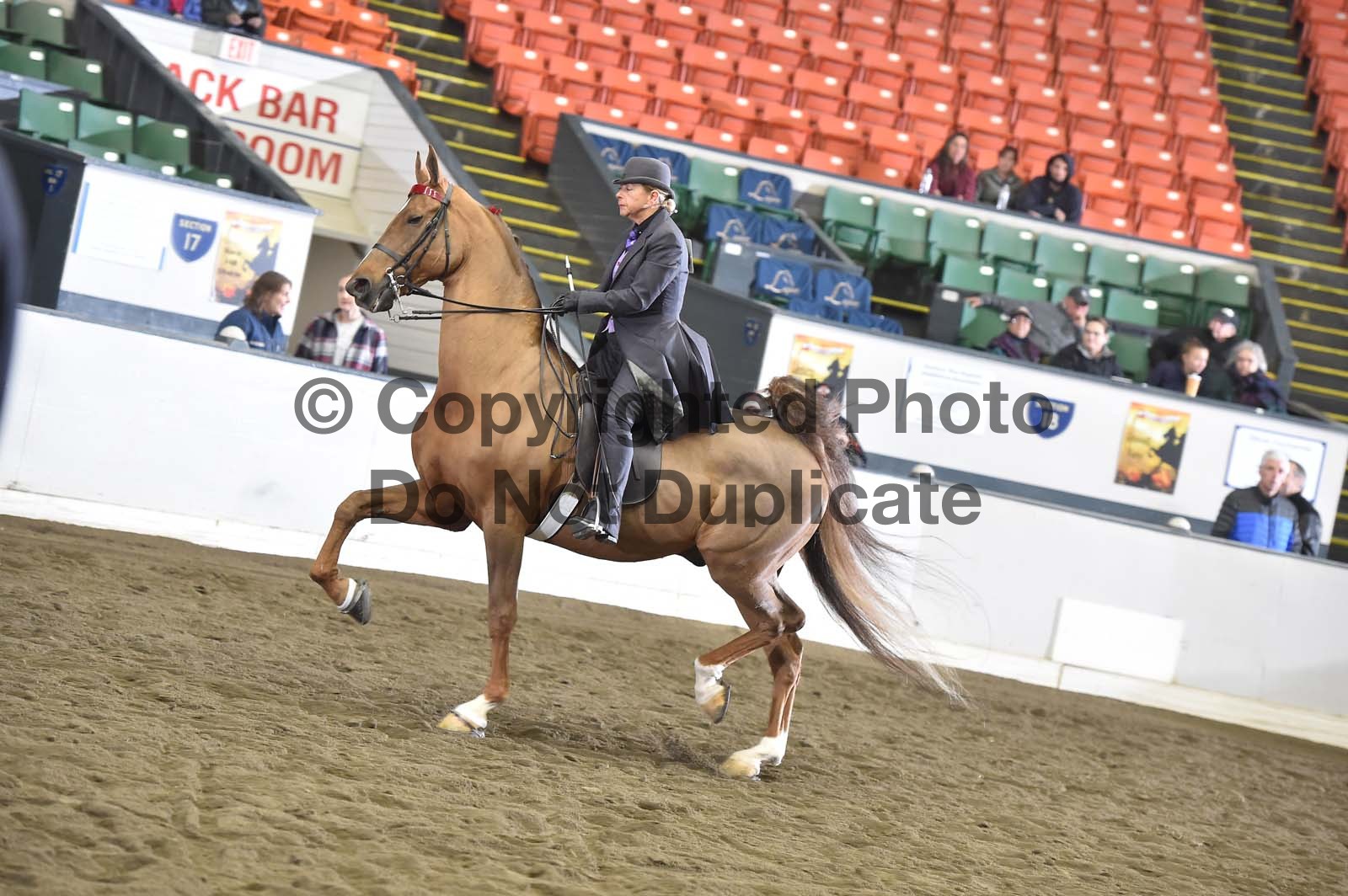 Saturday Evening 630pm Classes 121 136 Horse Show Proofs 2019