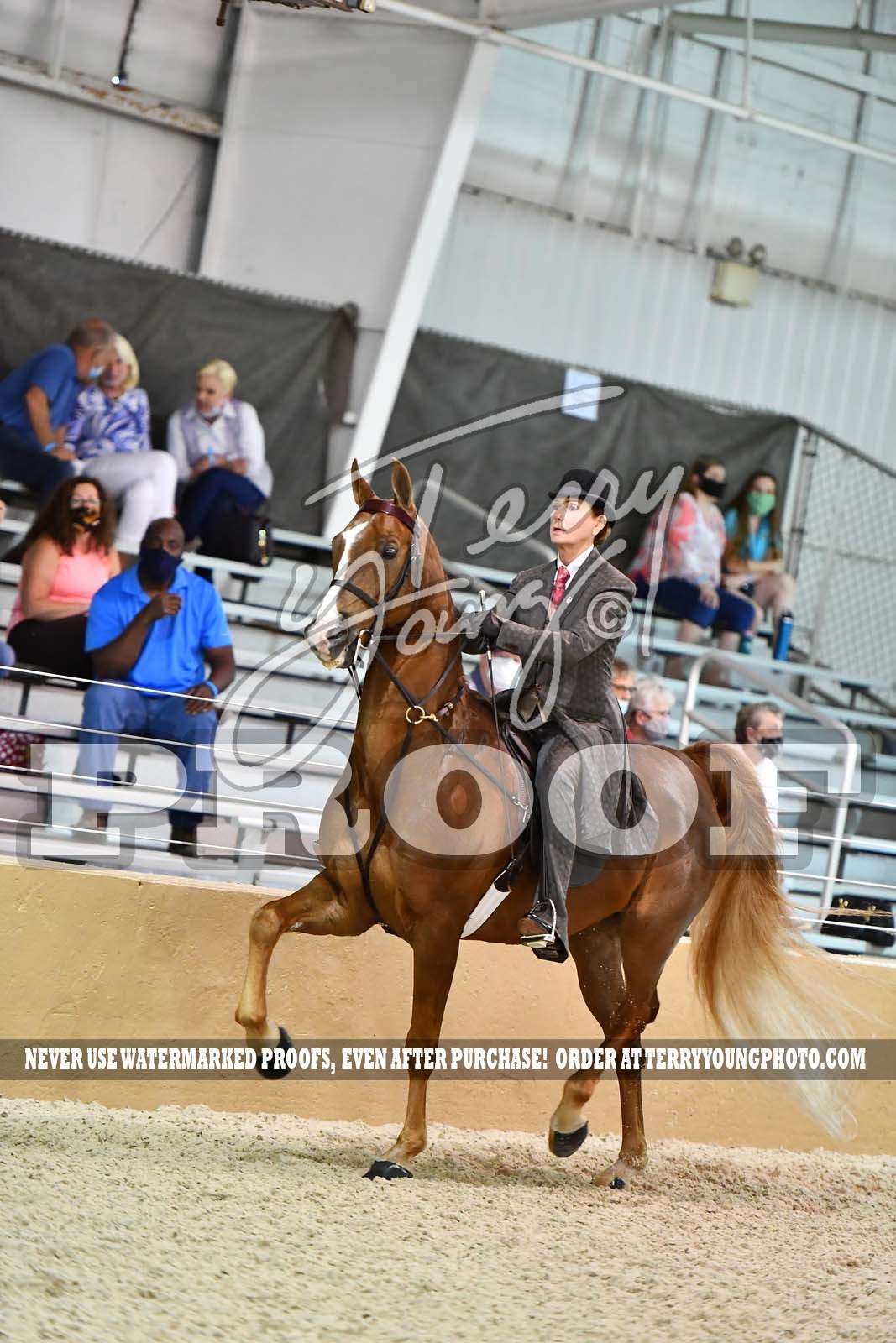 Wed Evening 700pm Classes 0118 Horse Show Proofs 2020 A) June 2427 Bridlespur Mid