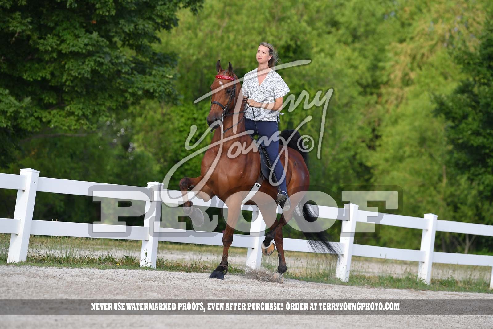 Milestone Shoot Horse Show Proofs 2020 A) June 2427 Bridlespur MidSeason Kickoff St