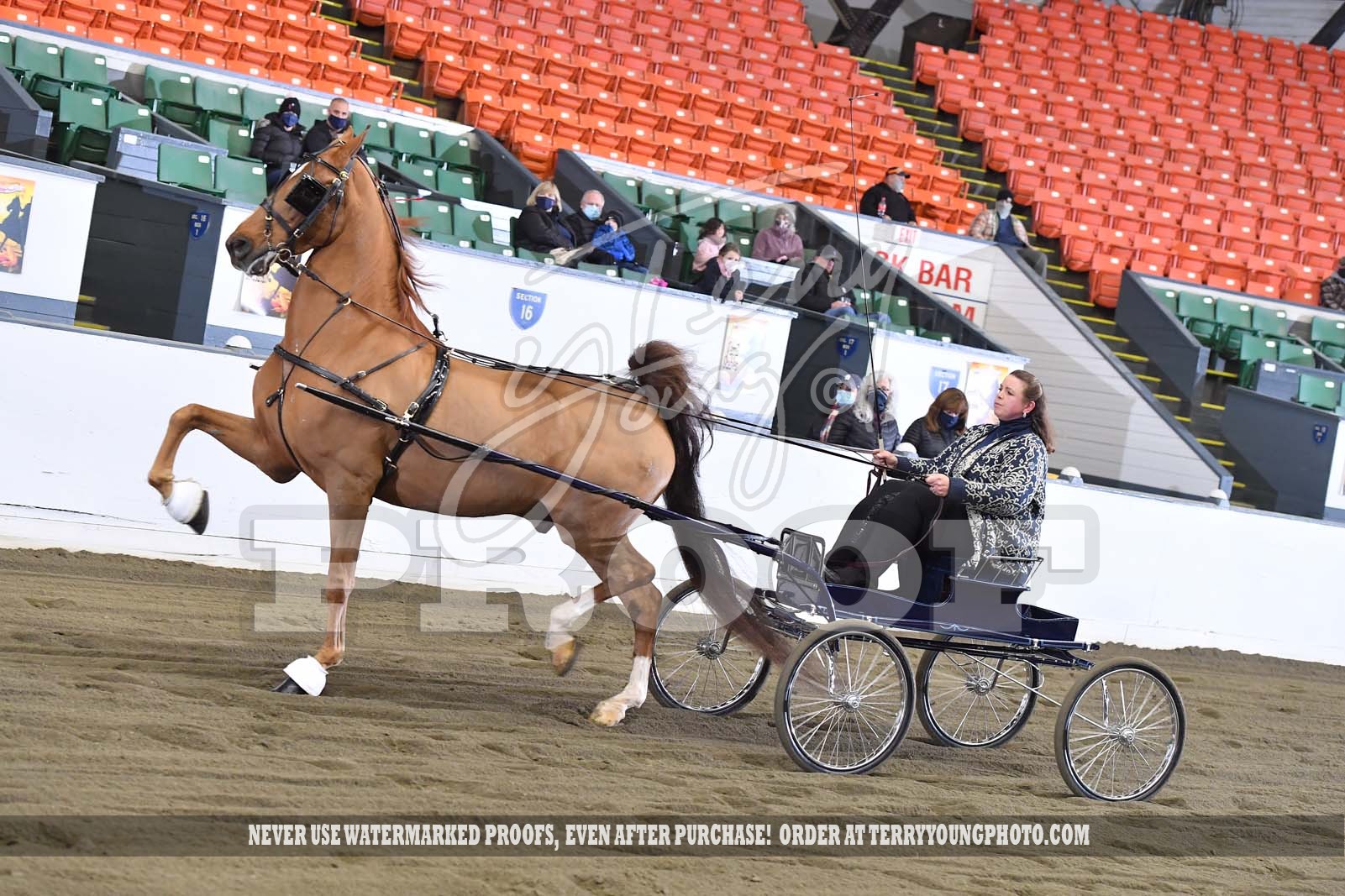 Sat. Evening 700pm Classes 122137 Horse Show Proofs 2020 L