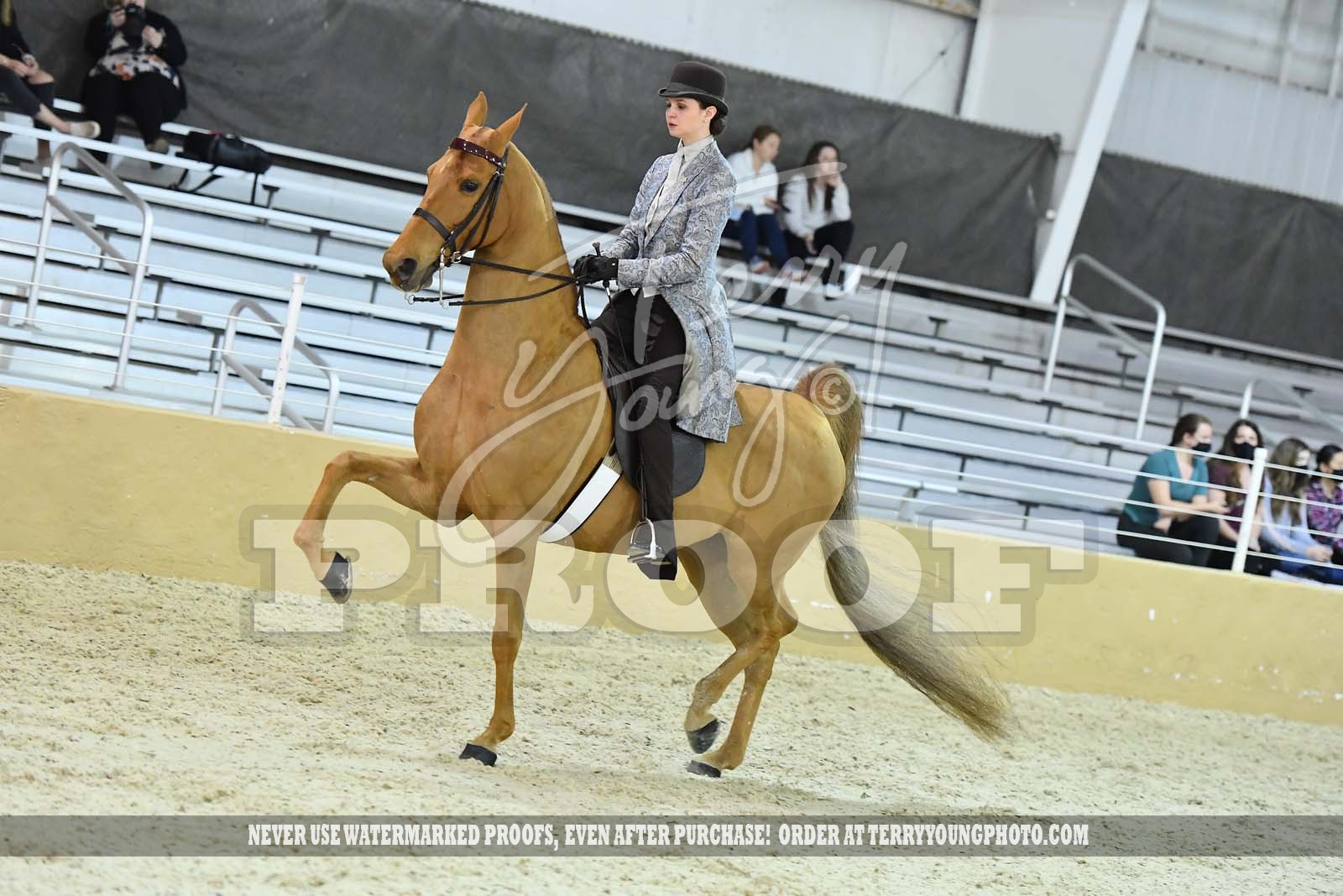 Fri. Morn Cont. 1000am Classes 6177 Horse Show Proofs 2021 C.) Bridlespur Horse Show