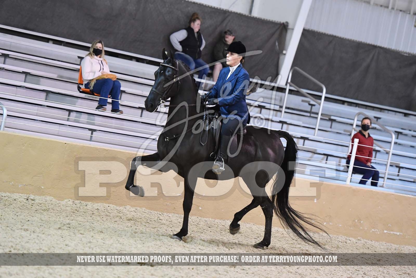 Sat. Night Classes 135156 155.) Roadster Pony to Bike Championship Horse Show Proofs