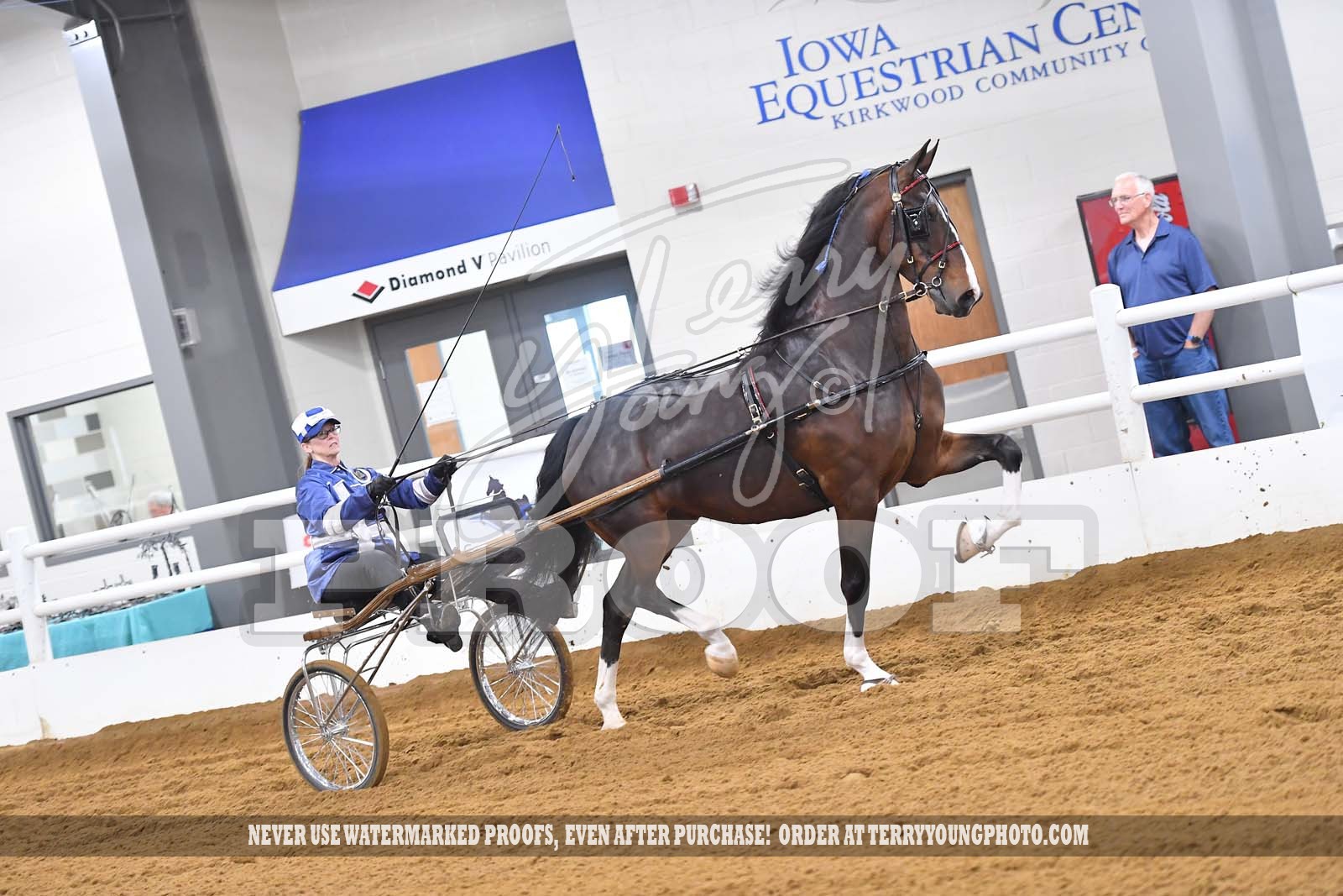 Sunday Morning 900am Classes 098113 Horse Show Proofs 2021 F.) Great River Benefit