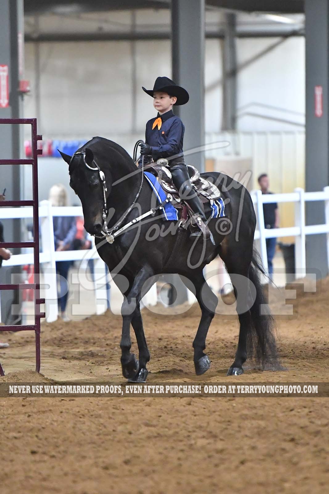 Fri. Evening 630pm Classes 7595 Horse Show Proofs 2021 K