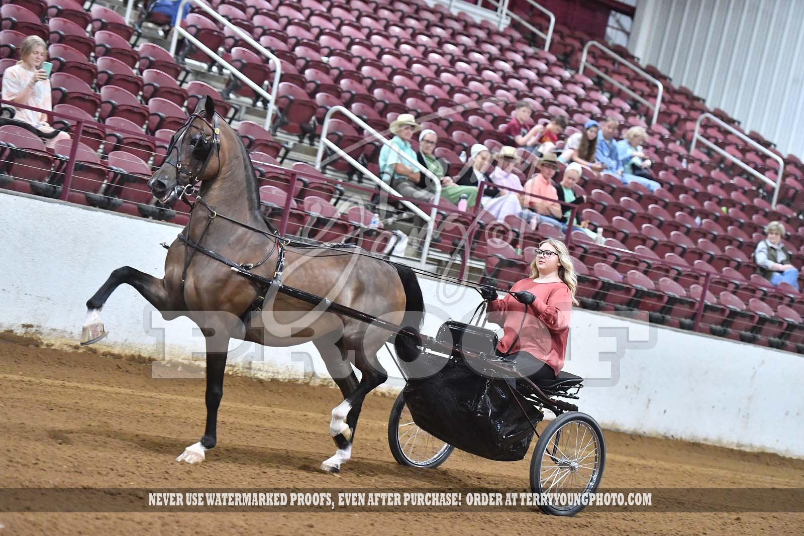 Sat. Morning 1000am Classes 096123 Horse Show Proofs 2021