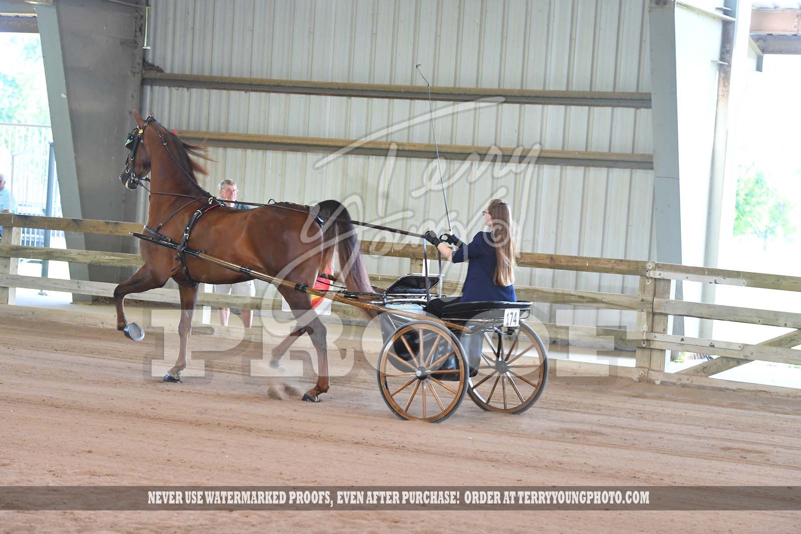 Sat. Evening 400pm Classes 141153 Horse Show Proofs 2021 L