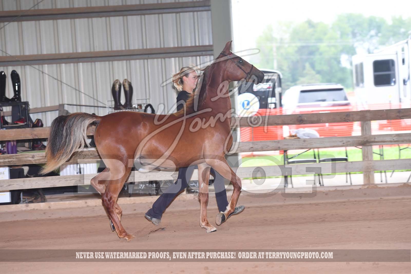 Fri. Evening 530pm Classes 86105 Horse Show Proofs 2022 L