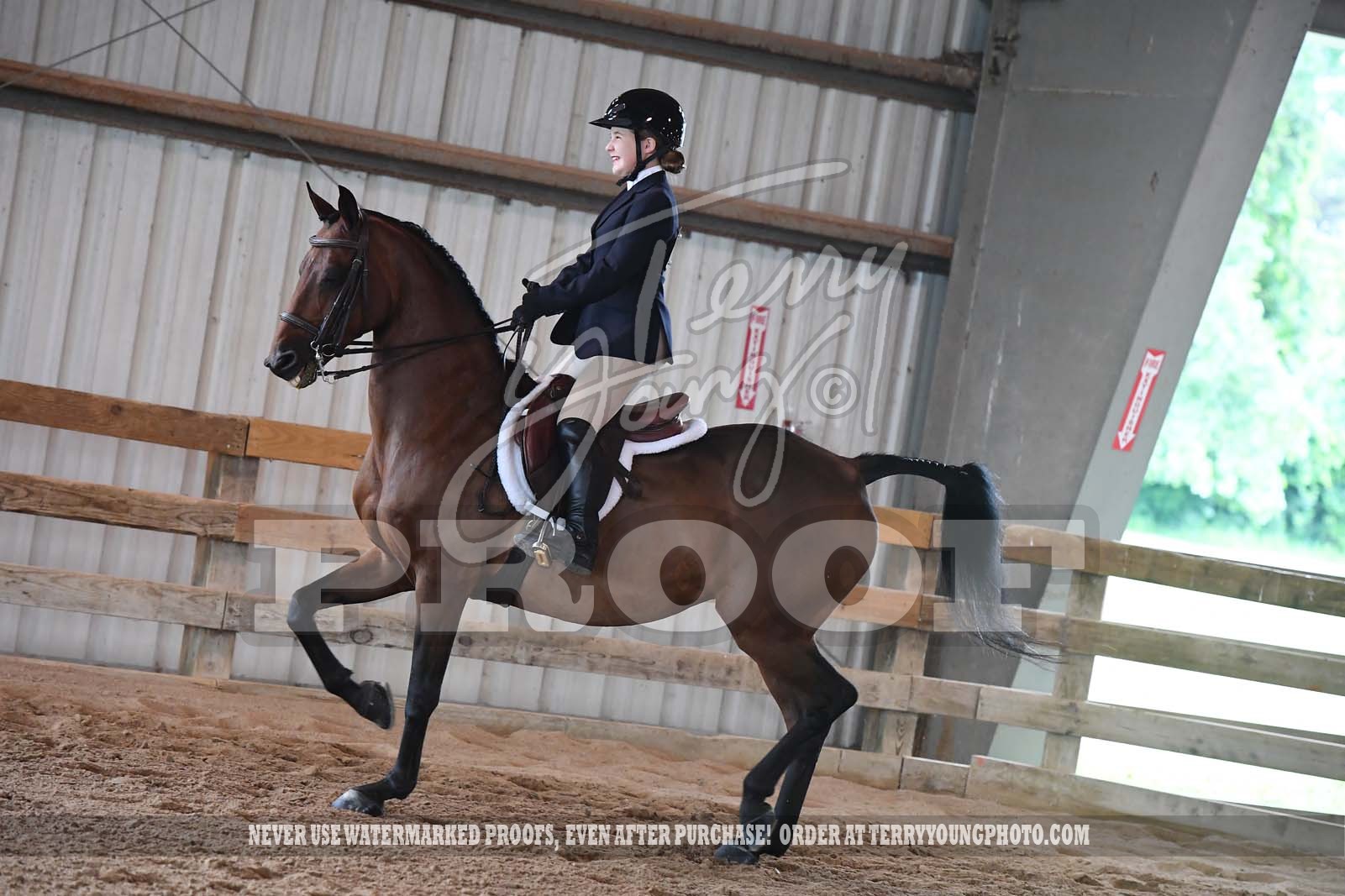 Sat. Morn. 900am Classes 106120 Horse Show Proofs 2022 L