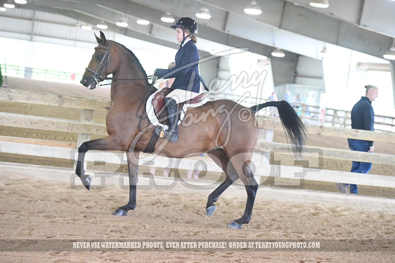 Sat. Afternoon 200pm Classes 141153 Horse Show Proofs 2022 L