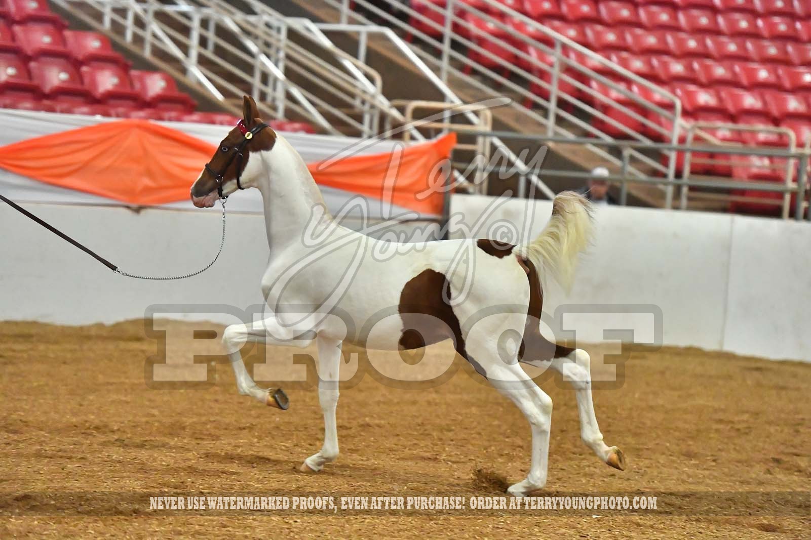 Fri. Evening 600pm Classes 4046A Horse Show Proofs 2022 V