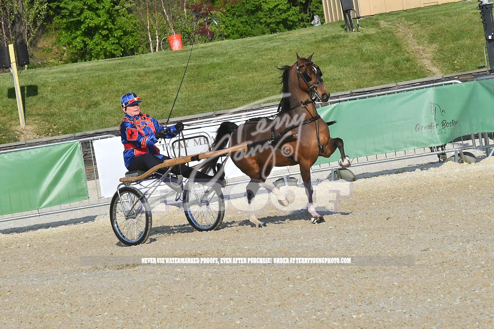 Thur Evening 600pm Classes 5271 55.) Park Saddle Jr