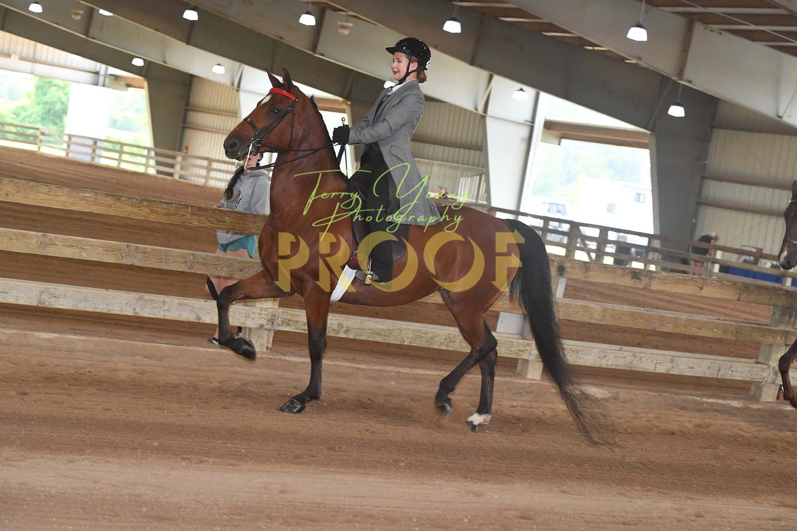 Sat. Morn 900am Classes 106121 113.) Roadster To Bike Horse